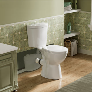 simple project 19 inch rear outlet toilet with pump