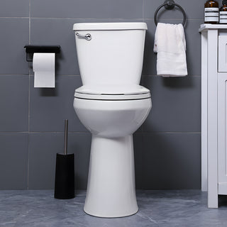 ELEMAZ 21" Extra Tall Toilet | ADA Height Toilet Elongated Bowl