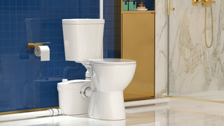Can You Use a Macerator on a Pre-Existing Toilet Flange?