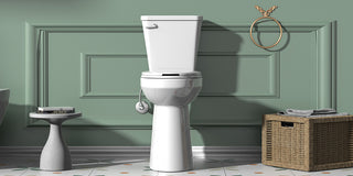 A Step by Step Detailed Guide to Remove an Old Toilet