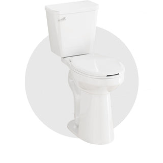 21 Inch Extra Tall Toilets