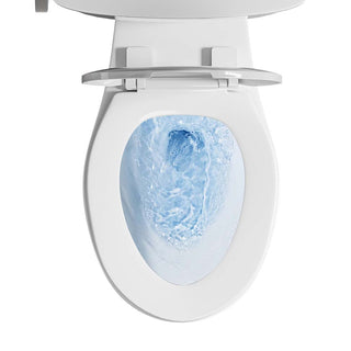 tall toilet with an oblong bowl