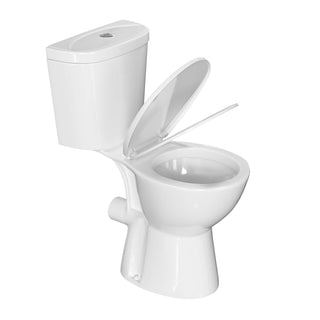 rear discharge toilet