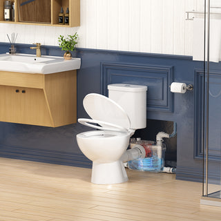 SNFLEX Two-Piece Macerating Toilet | 600W Upflush Toilet