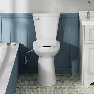 21‘’ floor mounted tall toilet in the bathroom