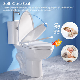 Modern 2 in 1 Toilet Bowl with Basin Sink | ADA Comfort Chair Height