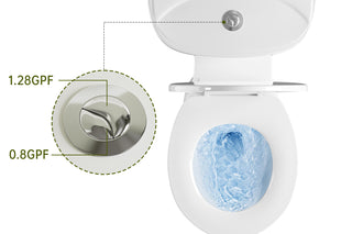 tall toilet with dual flush