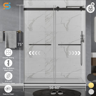 CALYZ Frameless Shower Door | Double Sliding