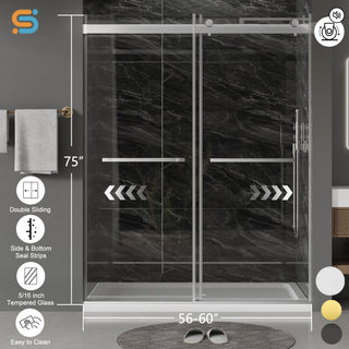 CALYZ Frameless Shower Door | Double Sliding