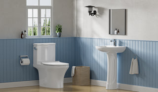 a one-piece toilet and a pedestal sink in the bathroom