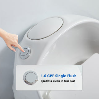 OVRUS Egg-Shaped Toilet | One Piece Round Bowl