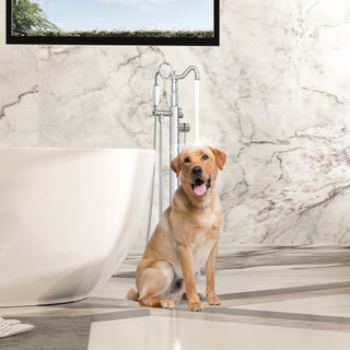 SpaSyra Free Standing Faucet for Tub with Hand Shower