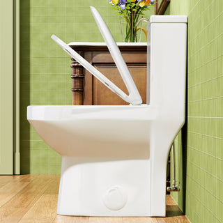 Simple Project One Piece Toilet | 5" Slim Tank Ultra Compact Toilet