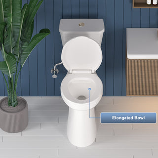 ELEMAZ 21" Extra Tall Toilet | ADA Height Toilet Dual Flush