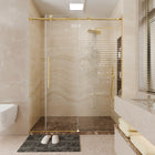 CALYZ Frameless Shower Door | Single Sliding 56-60