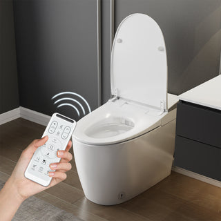 smart toilet equipped with a remote control