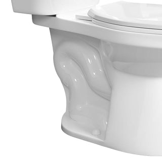 exposed trapway design for tall toilets